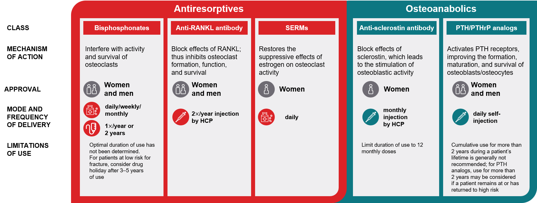 Comparison of osteoporosis drug classes. Antiresorptives: bisphosphonates, the anti-RANKL antibody, and SERMs. Osteoanabolics: the anti-sclerostin antibody and PTH/PTHrP analogs. The table gives each class's mechanism of action, who it is approved for, how and how often it is given, and limits on duration of use.